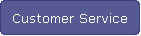 Customer Service