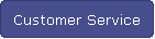 Customer Service